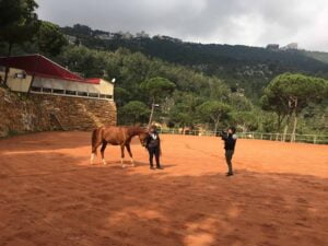 cine-jam-zyara-s03e07-IMG_3187