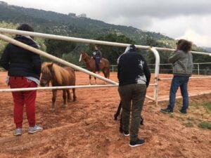 cine-jam-zyara-s03e07-IMG_3189